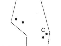 44910453