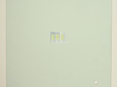 PW50C01001P1